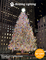 Birddog Lighting 2025-2026 Holiday Lighting Catalog